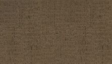 Mohawk Smartstrand Silk Luxurious Model Clay Trail 3B08-523