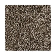 Lifescape Designs Bern Murphy Texture and Shag Taupe Whisper 3B52-869