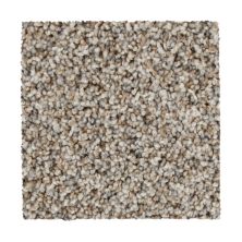 Mohawk Everstrand Color Harmony I Colonial Ash 3B56-912