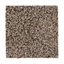 Mohawk Everstrand Color Harmony I Iron Side 3B56-927