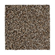 Mohawk Everstrand Color Harmony II Driftwood 3B57-849