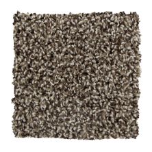Mohawk Everstrand Color Harmony II Highlander 3B57-889