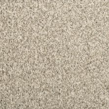 Mohawk Everstrand Color Harmony II London Fog 3B57-918