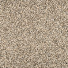 Mohawk Everstrand Color Harmony II Rolling Thunder 3B57-945