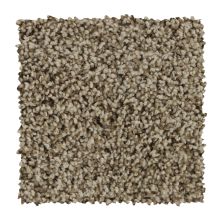 Mohawk Everstrand Soft Aspect Neutral 3C22-765