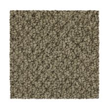 Mohawk Everstrand Cozy Classic Taupe Whisper 3C46-829