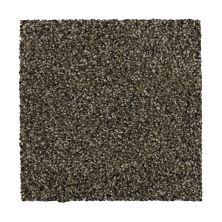 Mohawk Smartstrand Silk Natural Option I Taupe Delight 3D26-869