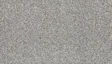 Mohawk Smartstrand Silk Natural Option II Winter’s End 3D27-749