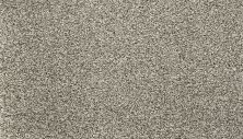 Mohawk Smartstrand Silk Natural Option II Knubby Wool 3D27-829