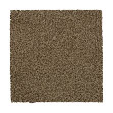 Mohawk Ultrastrand Coastal Vision II Tradition 3D44-783