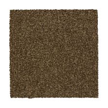 Mohawk Ultrastrand Coastal Vision II Captain 3D44-850