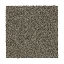 Mohawk Ultrastrand Coastal Vision II Dolphin 3D44-964