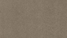 Mohawk Ultrastrand Coastal Vision III Bliss 3D45-759