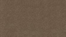 Mohawk Ultrastrand Coastal Vision III Driftwood 3D45-779