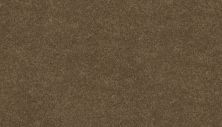Mohawk Ultrastrand Coastal Vision III Tradition 3D45-783