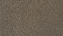 Mohawk Ultrastrand Coastal Vision III Porpoise 3D45-942