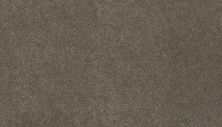 Mohawk Ultrastrand Coastal Vision III Dolphin 3D45-964