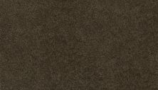 Mohawk Ultrastrand Coastal Vision III Eternity 3D45-972