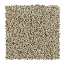 Mohawk Everstrand Soft Appeal Sincere Tones Romano 3D57-716