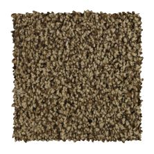 Mohawk Everstrand Soft Appeal Sincere Tones Artisan Hue 3D57-771