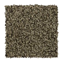 Mohawk Everstrand Soft Appeal Sincere Tones November Foliage 3D57-876