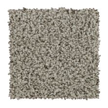 Mohawk Everstrand Soft Appeal Sincere Tones Classic Silver 3D57-919