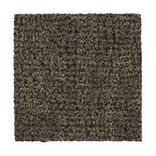 Mohawk Everstrand Popular Style Rock Garden 3D64-869