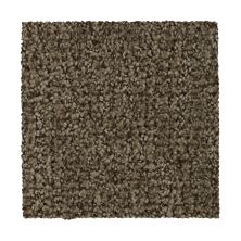 Mohawk Everstrand Popular Style Malted 3D64-883