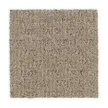 Mohawk Everstrand Attractive Trend Dignified 3D65-749