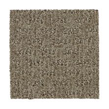 Mohawk Everstrand Attractive Trend Ancestral 3D65-779