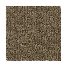 Mohawk Everstrand Attractive Trend Tightrope 3D65-876