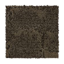 Mohawk Everstrand Soft Appeal Elaborate Character Sequoia 3D68-863