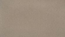 Mohawk Smartstrand Dazzling Options Contempo 3F02-719