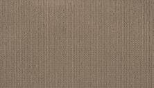 Mohawk Smartstrand Dazzling Options River Rock 3F02-735