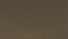Mohawk Smartstrand Dazzling Options Prairie 3F02-786