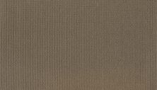 Mohawk Smartstrand Dazzling Options Autumn Gourd 3F02-824