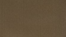 Mohawk Smartstrand Dazzling Options Dock 3F02-847