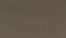 Mohawk Smartstrand Dazzling Options Powerful 3F02-858