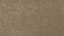 Mohawk Everstrand Essential Collection Desert Star 3F81-738