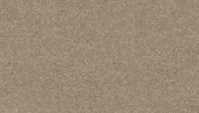 Mohawk Everstrand Essential Collection First Frost 3F81-746