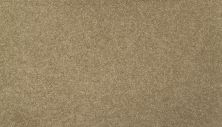 Mohawk Everstrand Essential Collection Quiet Light 3F81-758