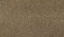 Mohawk Everstrand Essential Collection Twine 3F81-775