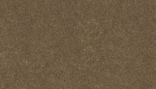 Mohawk Everstrand Essential Collection Sea Horse 3F81-785