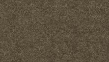 Mohawk Everstrand Essential Collection Tumbleweed 3F81-789