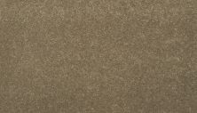 Mohawk Everstrand Essential Collection Pioneer 3F81-815