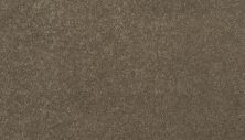 Mohawk Everstrand Essential Collection Antelope 3F81-839