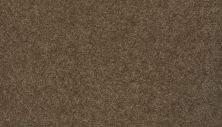 Mohawk Everstrand Essential Collection Chart Room 3F81-887