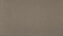 Karastan Smartstrand Functional Beauty Tranquil Taupe 3G05-9820