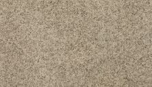 Mohawk Everstrand Soft Appeal Soft Details I Luminescence 3G12-719