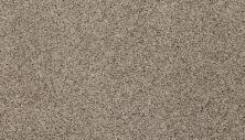 Mohawk Everstrand Soft Appeal Soft Details I Natural 3G12-729